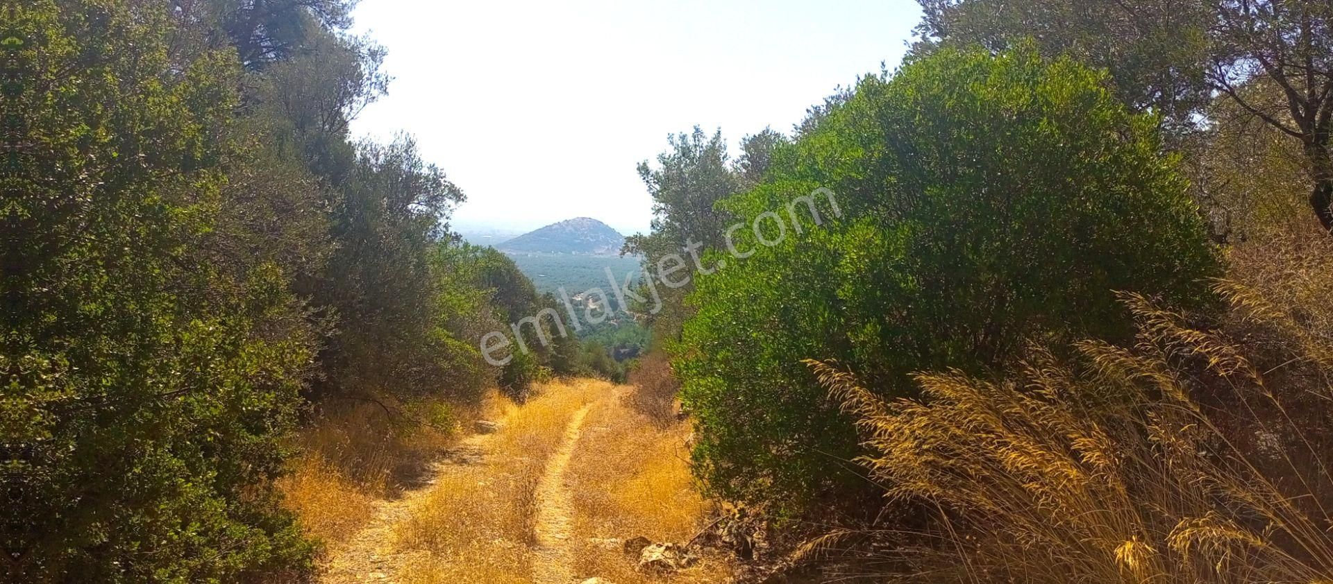 Torbalı Emlak'tan Yatırımlık Bayındır Arıkbaşı'nda 6300m2 Arazi Satılıktır - Görsel 13