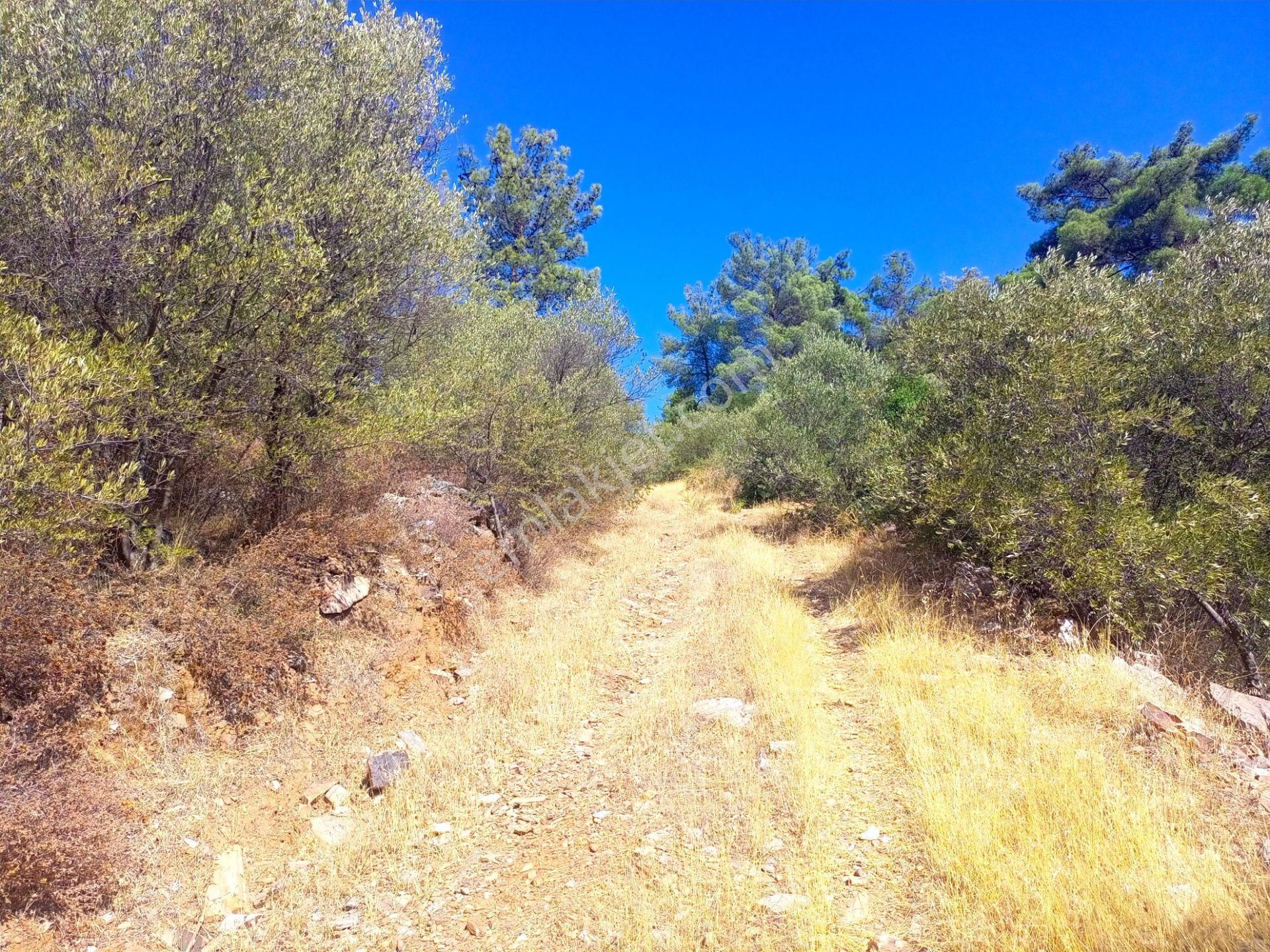 Torbalı Emlak'tan Yatırımlık Bayındır Arıkbaşı'nda 6300m2 Arazi Satılıktır - Görsel 2