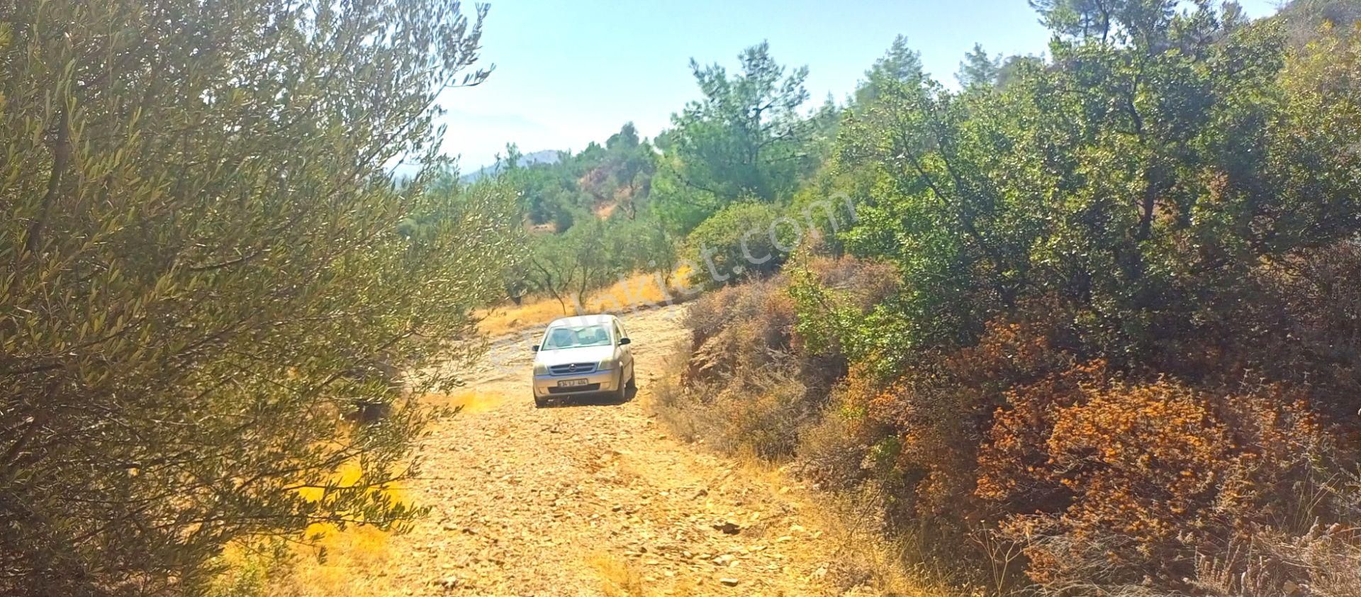 Torbalı Emlak'tan Yatırımlık Bayındır Arıkbaşı'nda 6300m2 Arazi Satılıktır