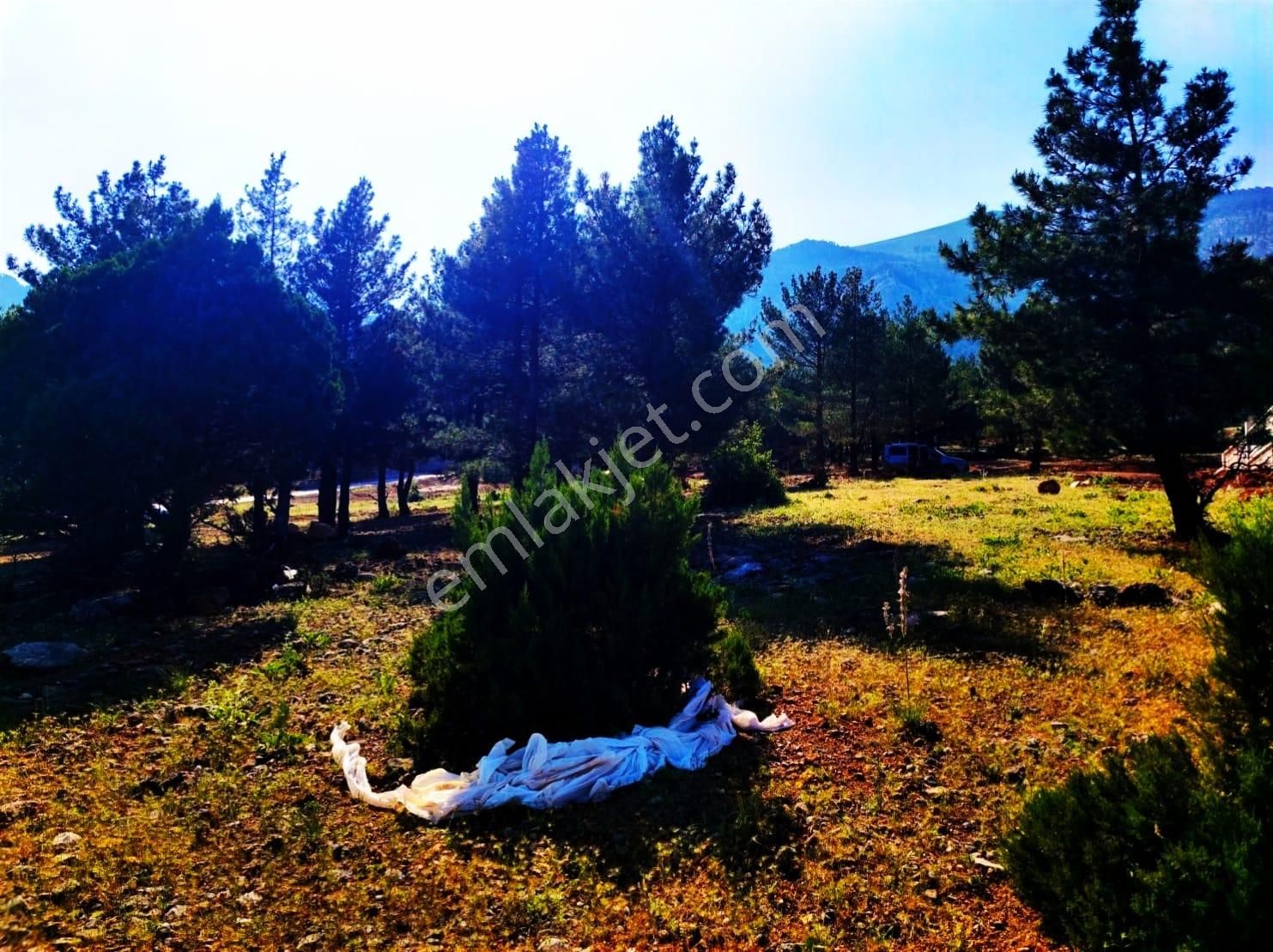 Kar Emlaktan Yenikonacıkta Yüksek Konumlu 375 M2 Satlık Arsa - Görsel 9