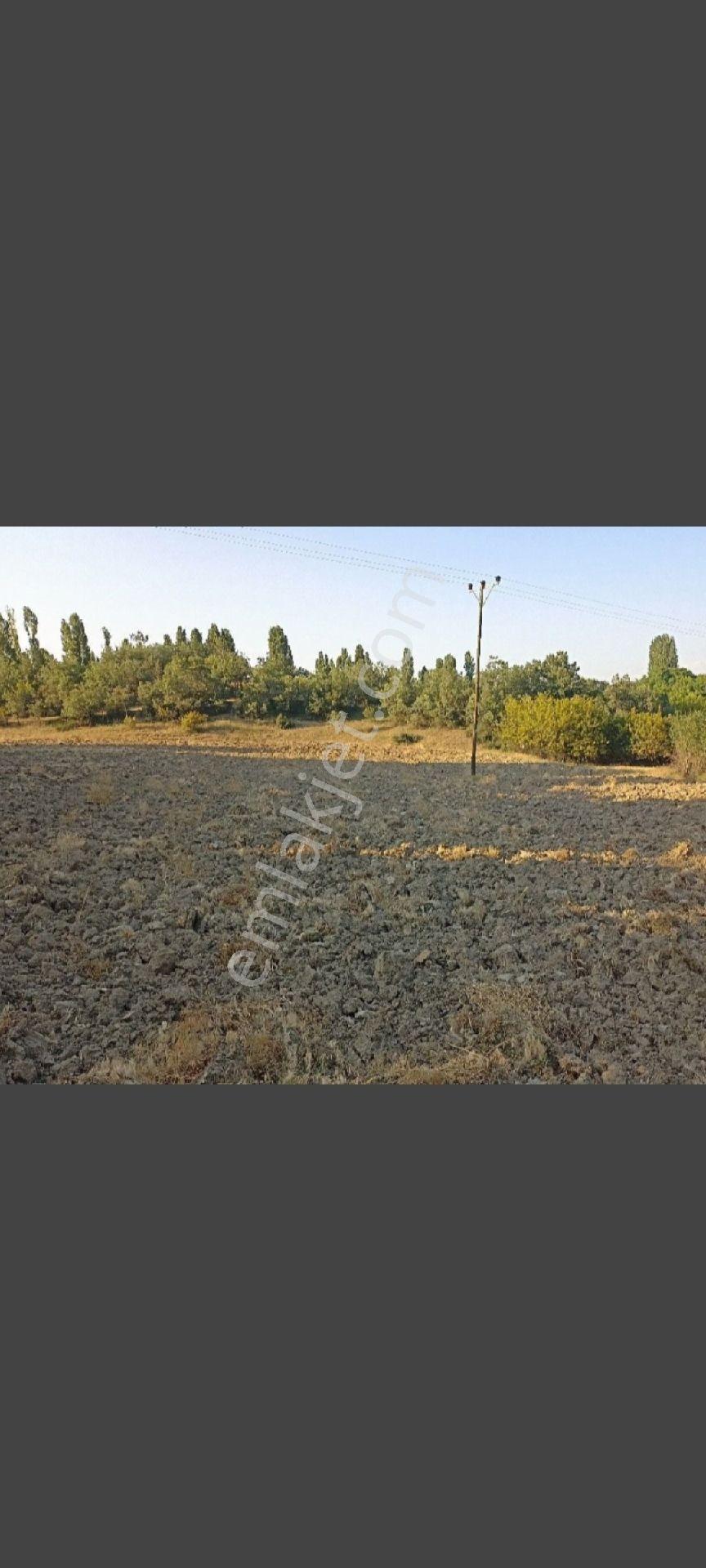 Nallıhan Yakapınar (şıhlar) Detay Açıklamada Araç Uüzerine Nakit Takas Olur - Görsel 4