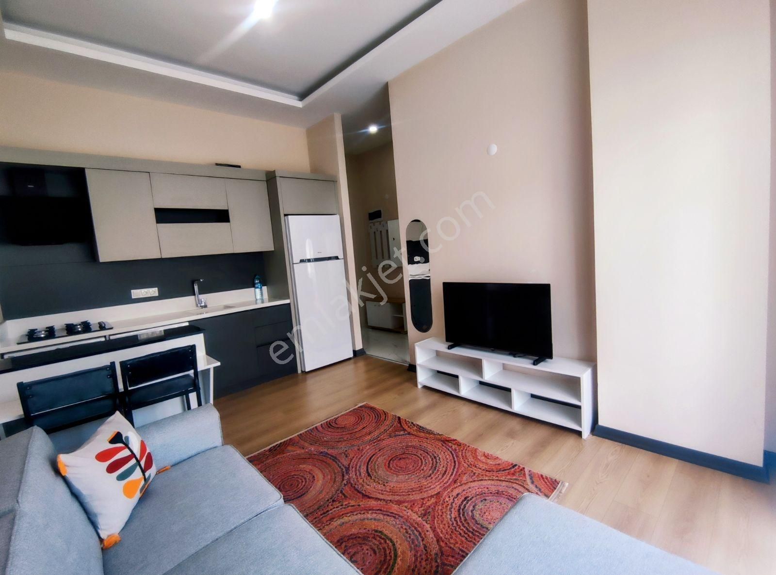 Altıntaş Kardeşkentler Cd. Dibinde İskanlı Bahçe Kullanımlı 1+1 - Görsel 4