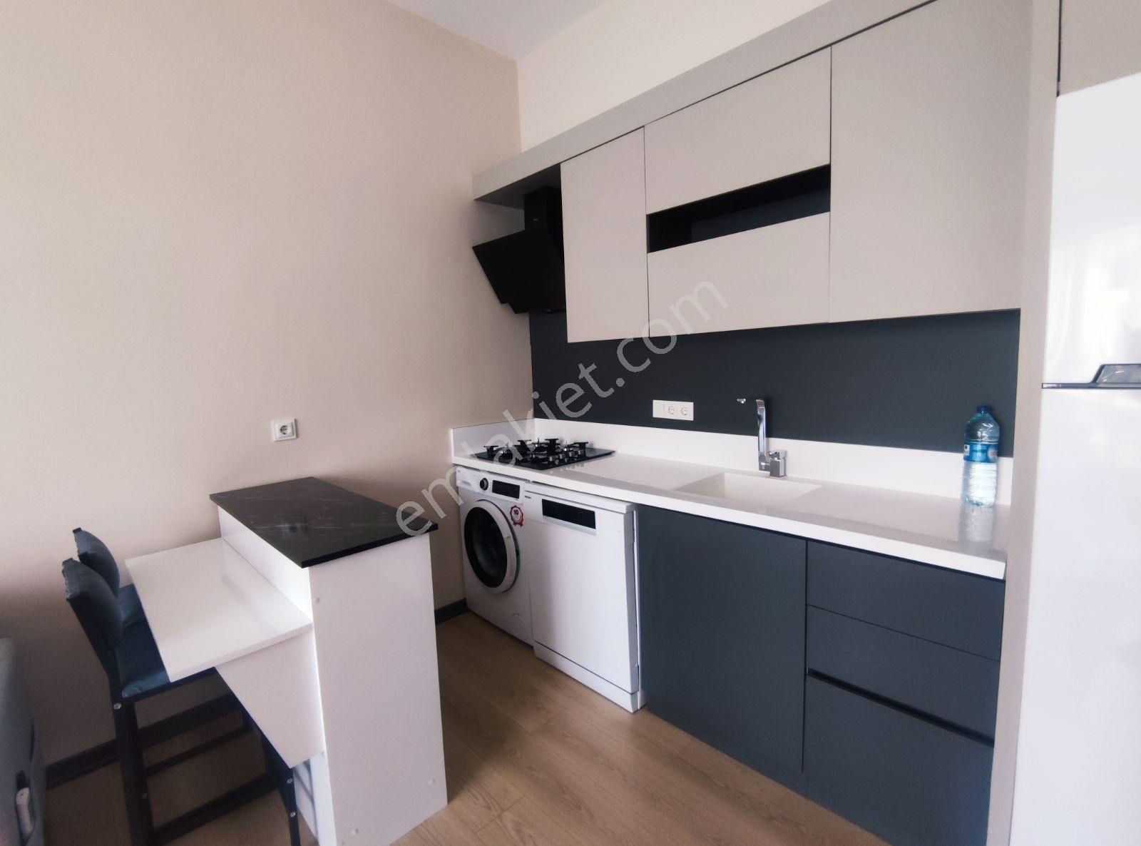 Altıntaş Kardeşkentler Cd. Dibinde İskanlı Bahçe Kullanımlı 1+1 - Görsel 5