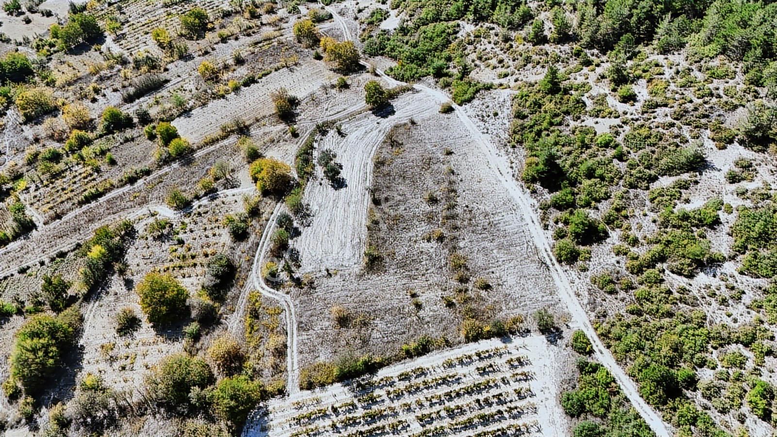 Geyve Halidiye'de 3862m2 Yatırımlık Tarla