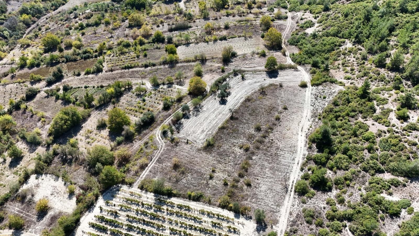 Geyve Halidiye'de 3862m2 Yatırımlık Tarla - Görsel 2