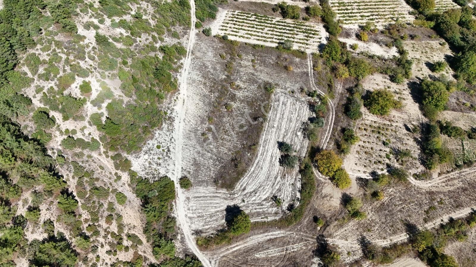 Geyve Halidiye'de 3862m2 Yatırımlık Tarla - Görsel 9