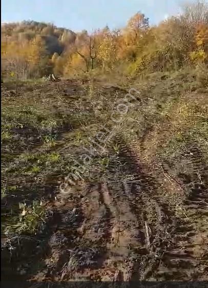 İnegöl Hacıkara Köyünde Satılık Tarla 3760 M2 Resmi Yolu Var - Görsel 4