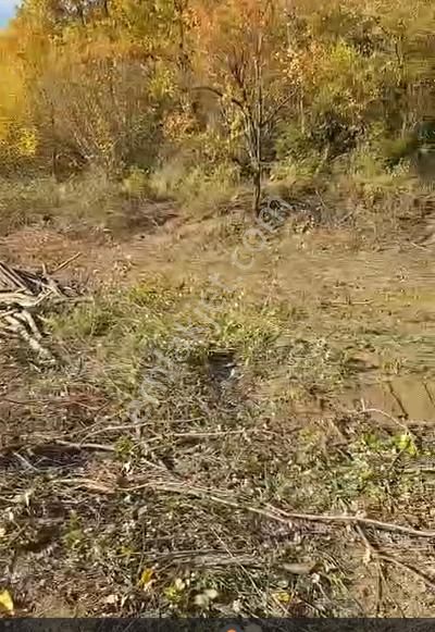 İnegöl Hacıkara Köyünde Satılık Tarla 3760 M2 Resmi Yolu Var