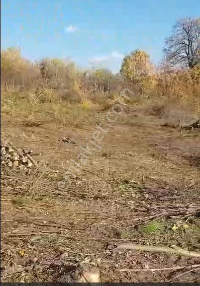 İnegöl Hacıkara Köyünde Satılık Tarla 3760 M2 Resmi Yolu Var - Görsel 3