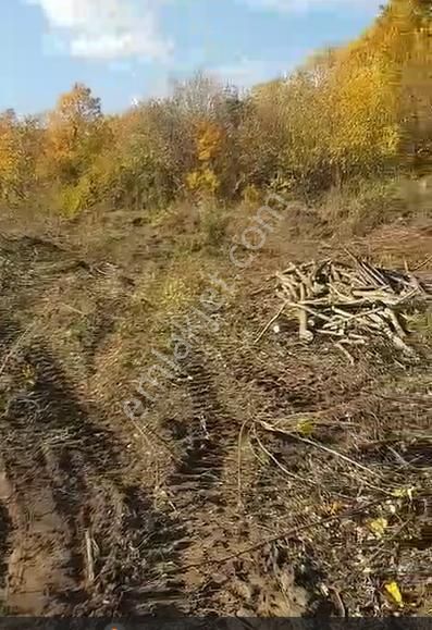 İnegöl Hacıkara Köyünde Satılık Tarla 3760 M2 Resmi Yolu Var - Görsel 5