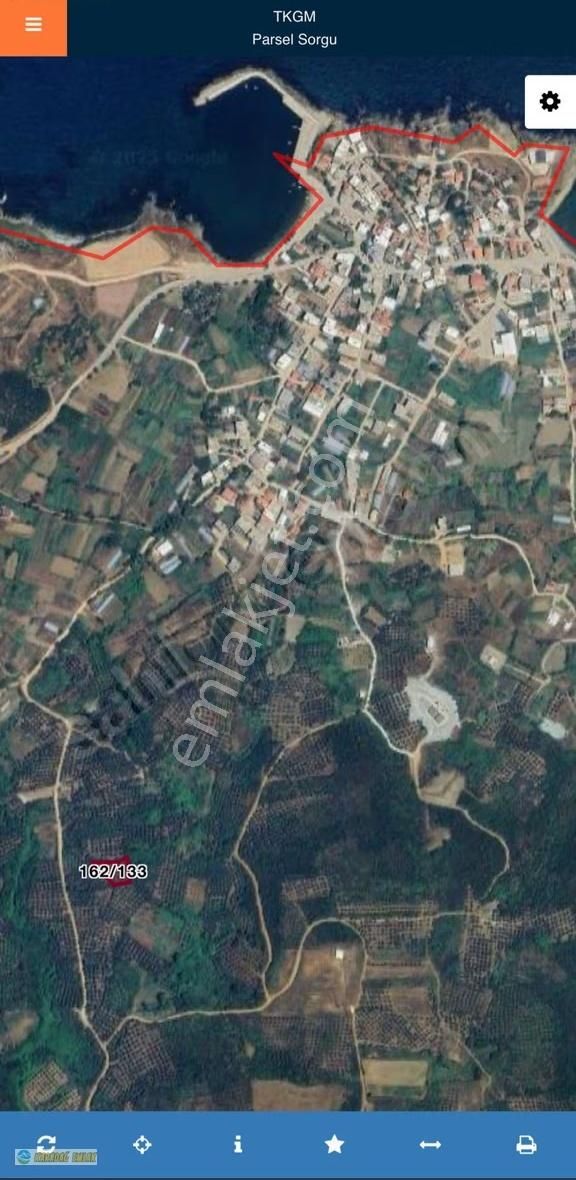 Karadağ Gayrimenkulden Sahilyenice'de Deniz Manzaralı Zeytinlik