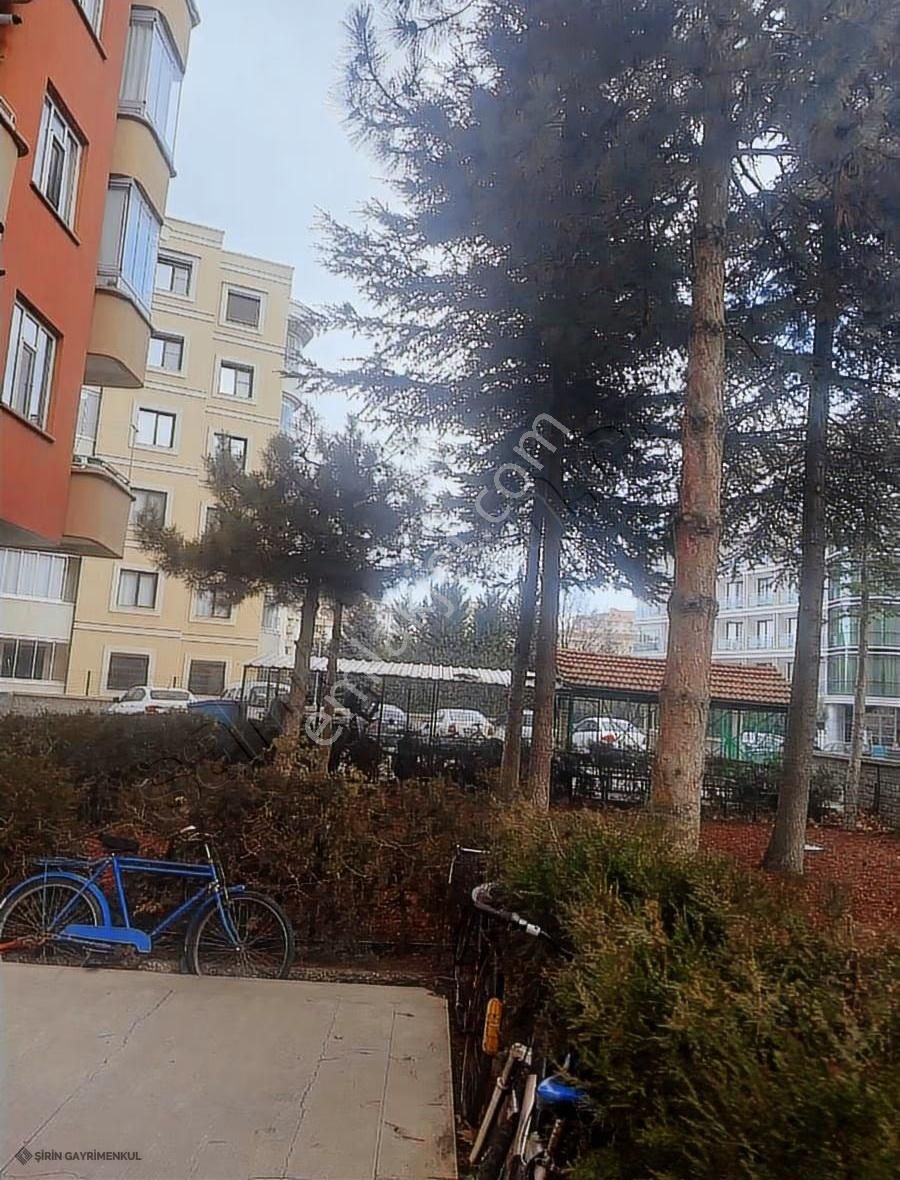 Şirin Gayrimenkül Den Satılık Daire - Görsel 7