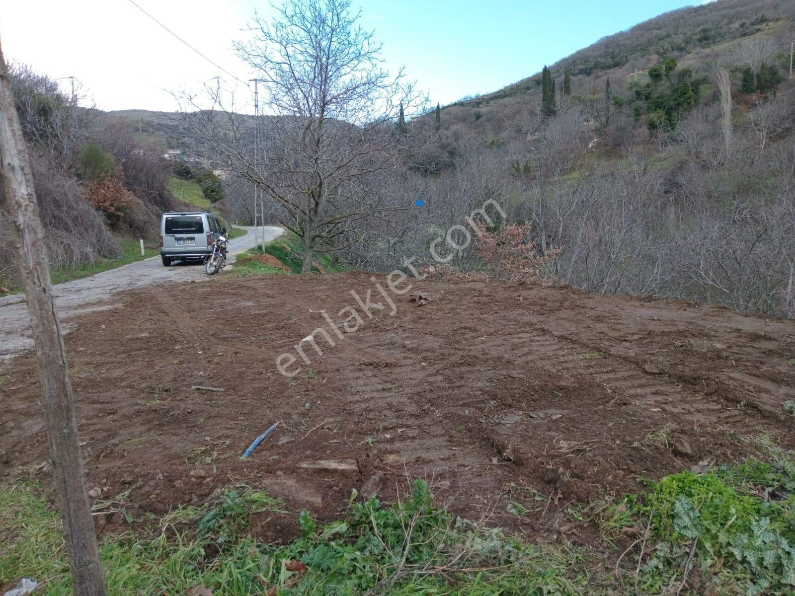 İzmir Tire Köye Yakın Satılık Asfalt Yola Cepheli Bahçe - Görsel 4