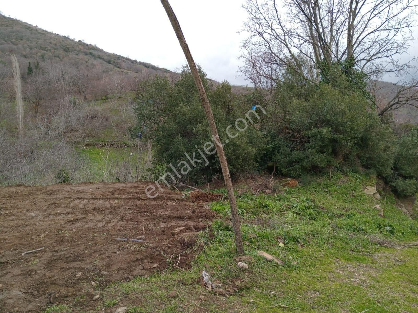 İzmir Tire Köye Yakın Satılık Asfalt Yola Cepheli Bahçe - Görsel 11