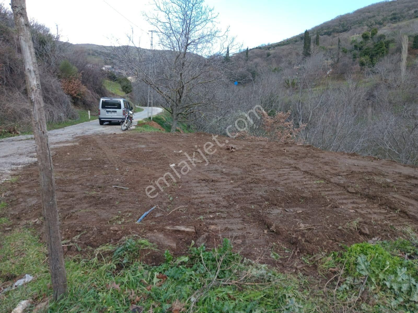 İzmir Tire Köye Yakın Satılık Asfalt Yola Cepheli Bahçe - Görsel 5