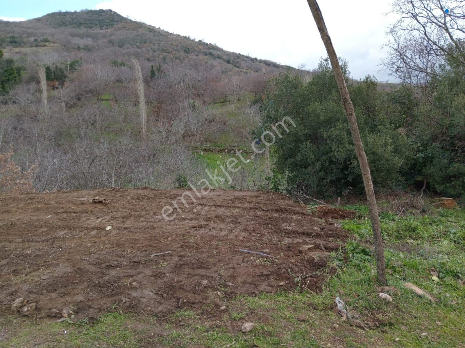 İzmir Tire Köye Yakın Satılık Asfalt Yola Cepheli Bahçe - Görsel 13