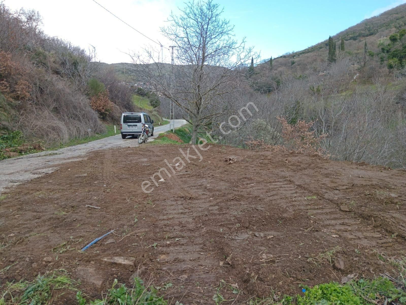 İzmir Tire Köye Yakın Satılık Asfalt Yola Cepheli Bahçe - Görsel 6