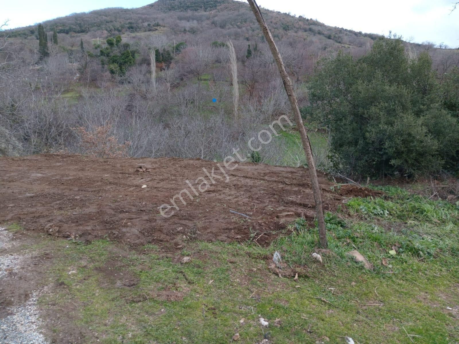 İzmir Tire Köye Yakın Satılık Asfalt Yola Cepheli Bahçe - Görsel 3