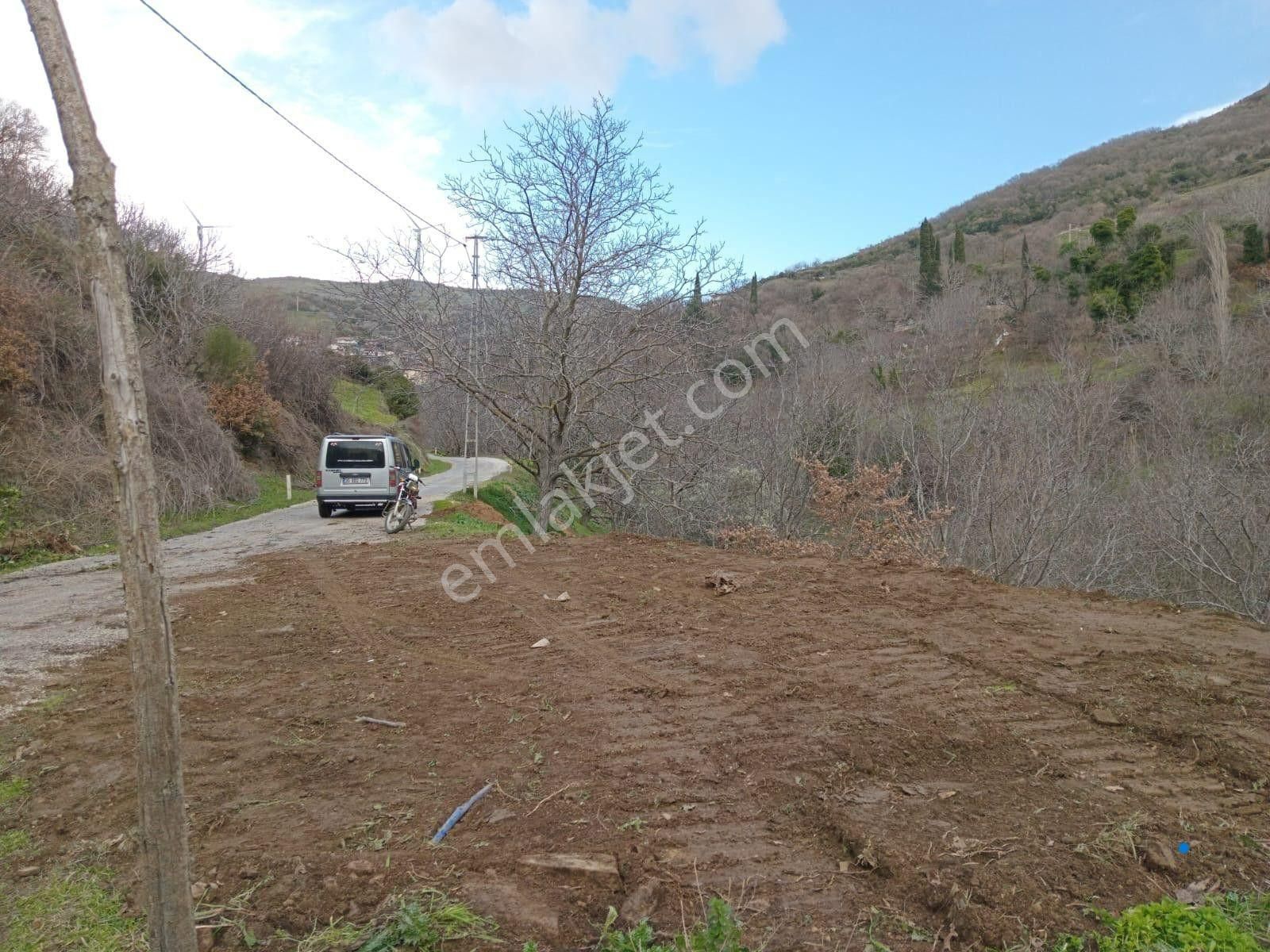 İzmir Tire Köye Yakın Satılık Asfalt Yola Cepheli Bahçe - Görsel 7