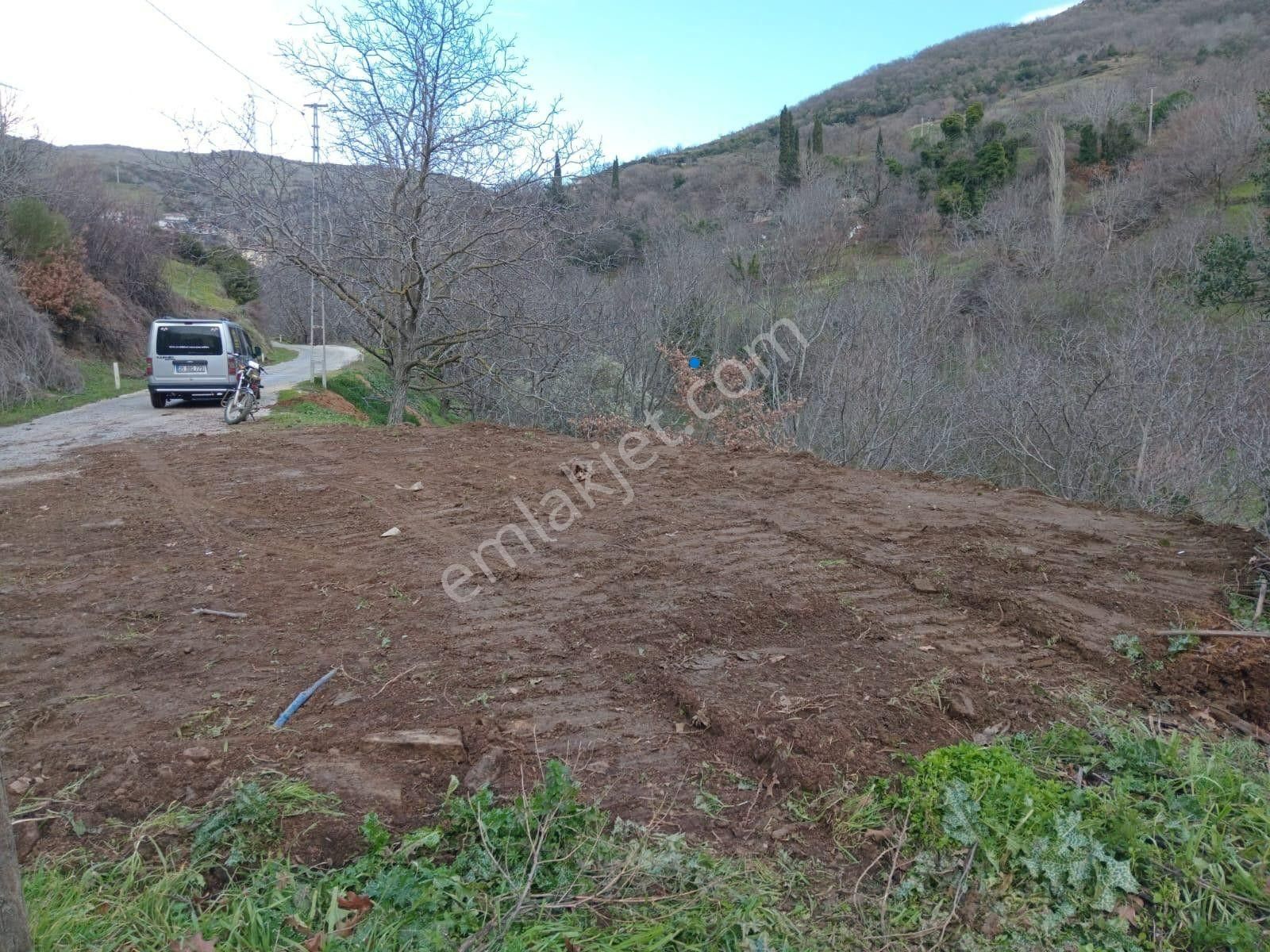 İzmir Tire Köye Yakın Satılık Asfalt Yola Cepheli Bahçe