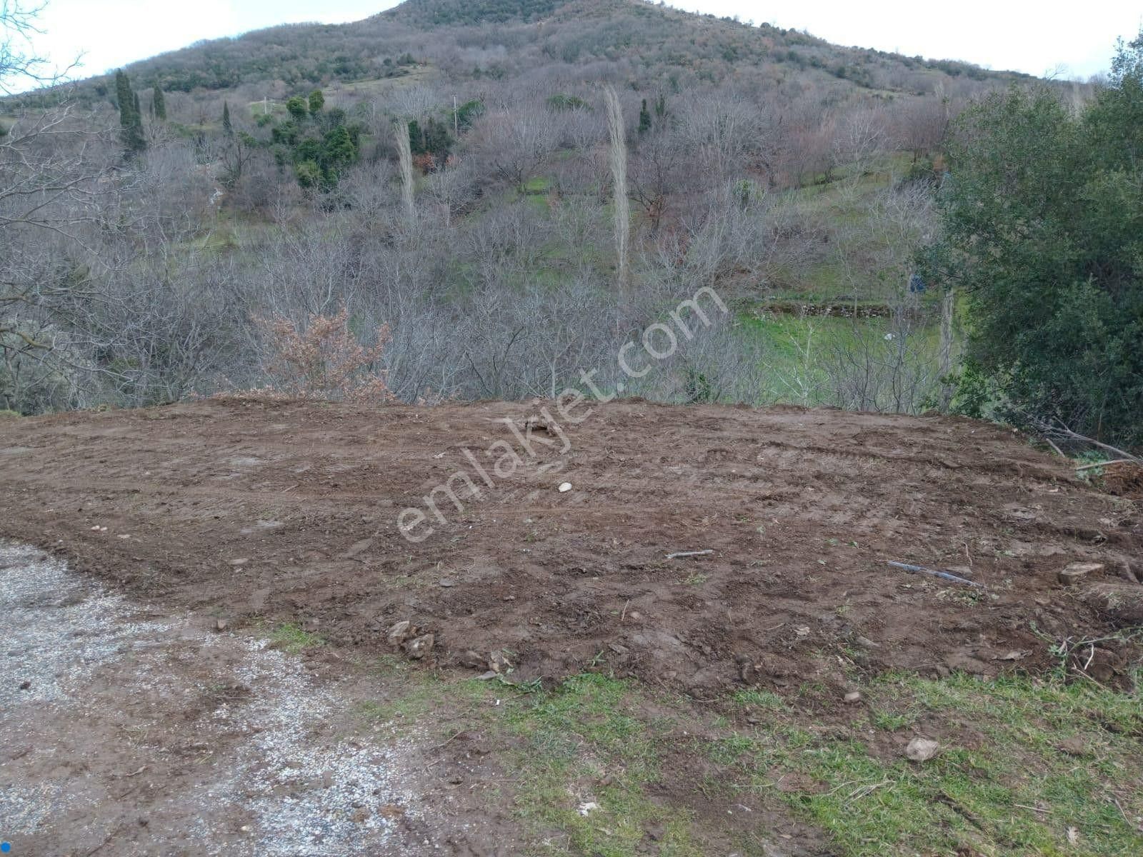 İzmir Tire Köye Yakın Satılık Asfalt Yola Cepheli Bahçe - Görsel 14