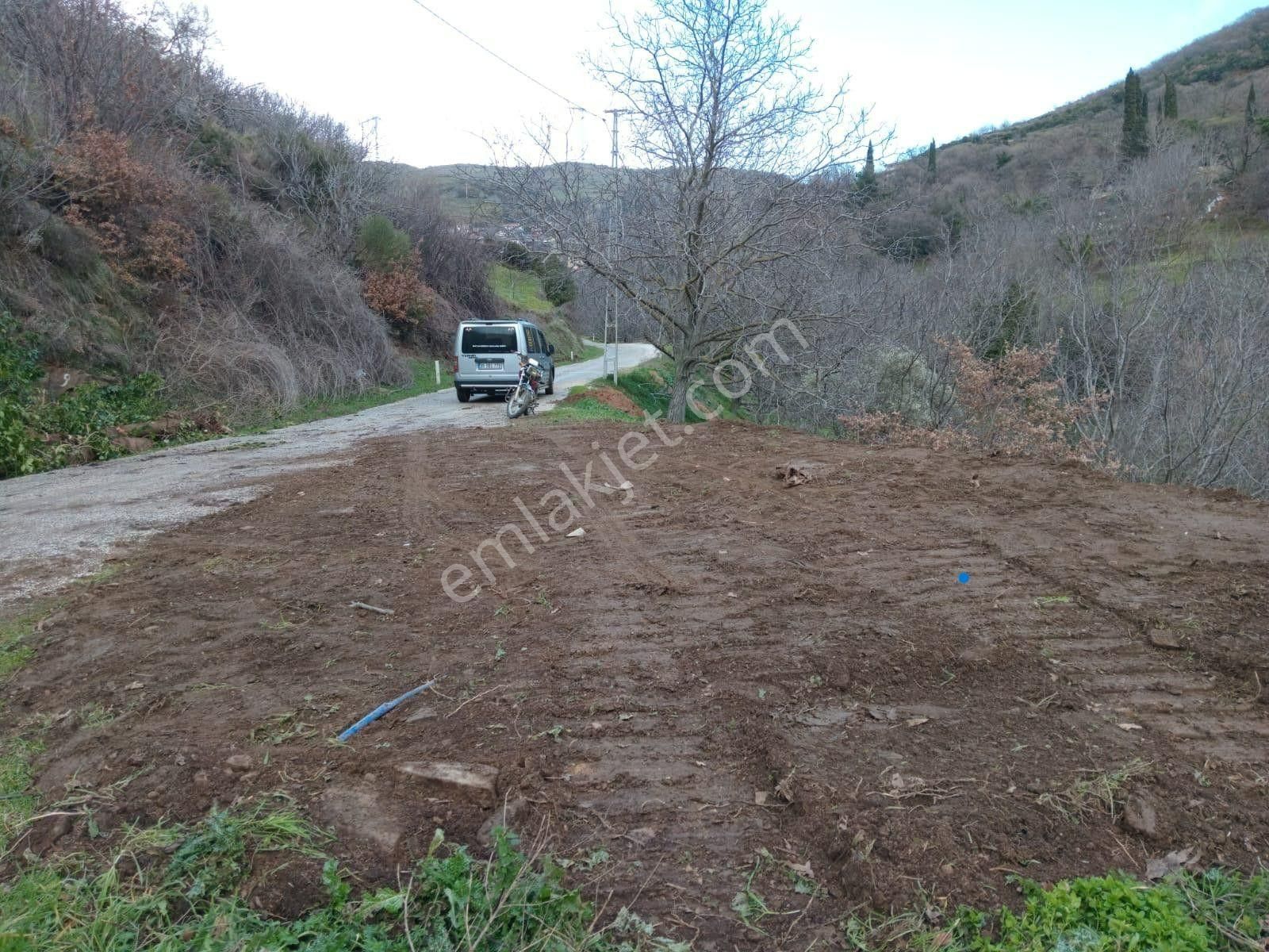 İzmir Tire Köye Yakın Satılık Asfalt Yola Cepheli Bahçe - Görsel 9