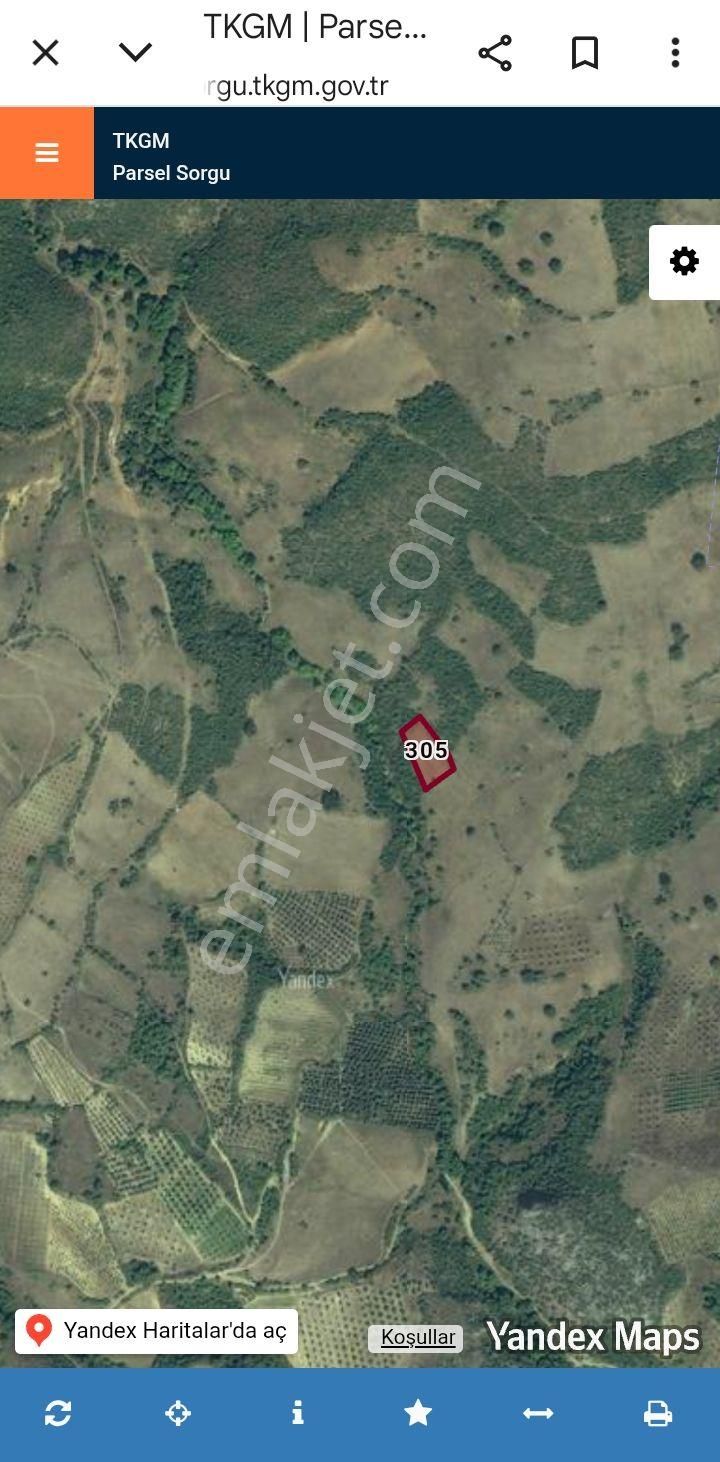 Şok Şok Fıyata Acıl Nakıt - Görsel 6