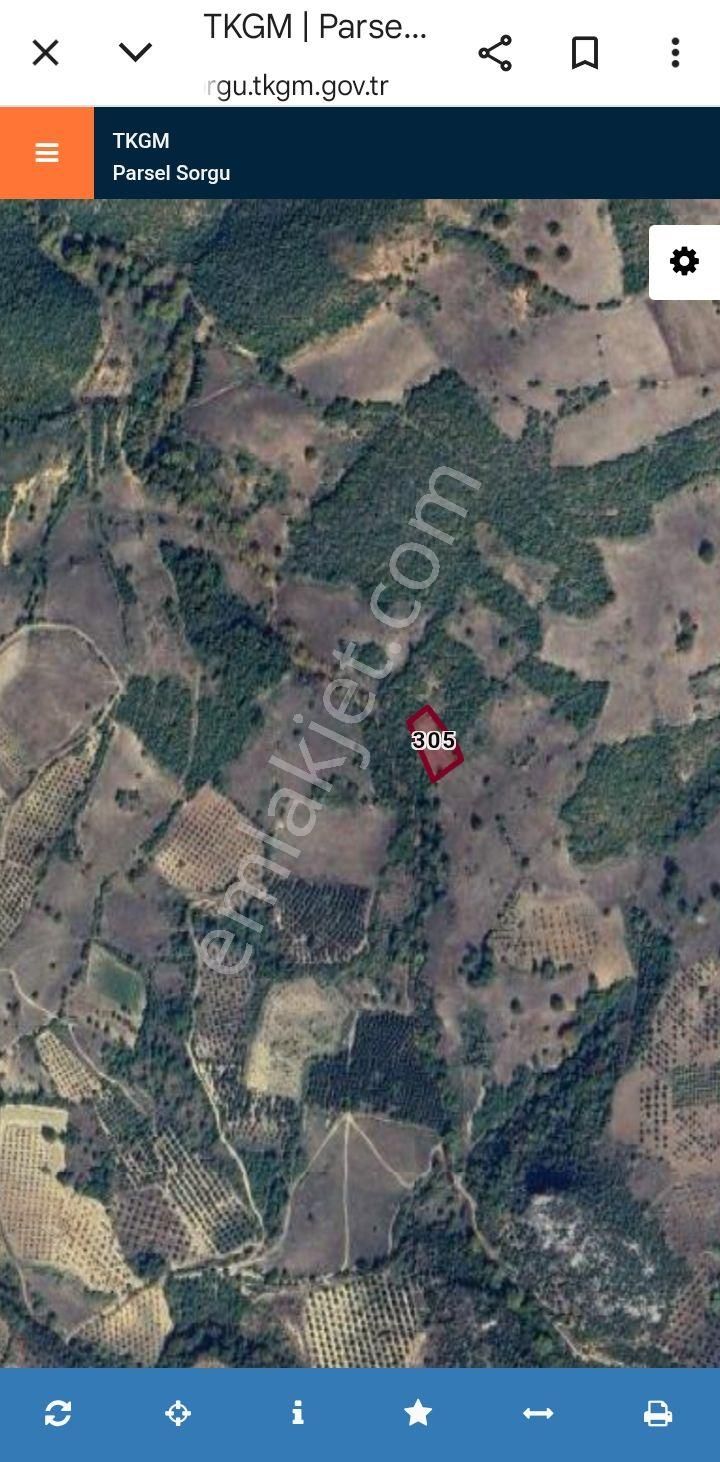 Şok Şok Fıyata Acıl Nakıt - Görsel 3