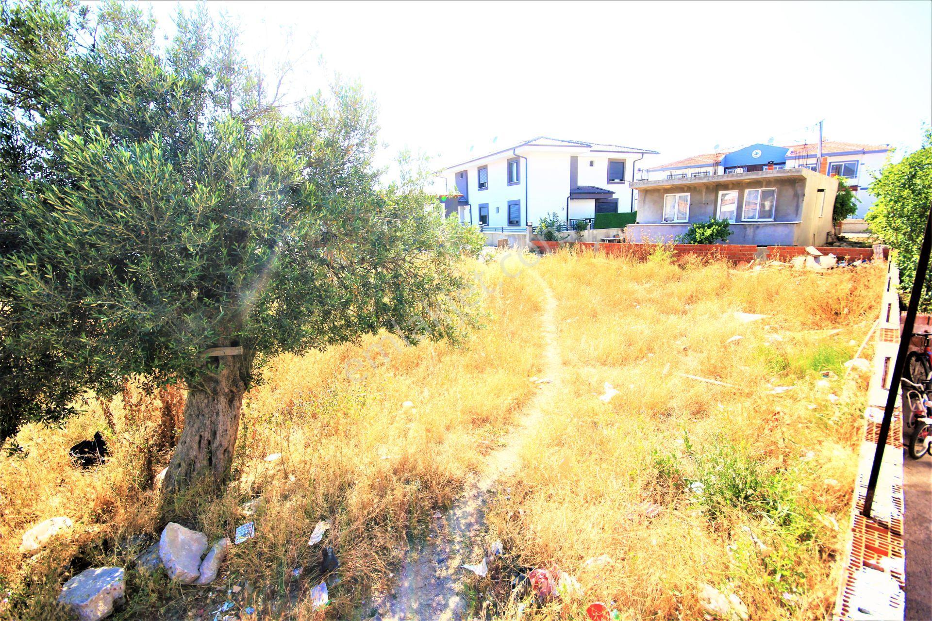 Aktif'ten Burhaniye Hacıahmet Mahallesinde 374 M2 Satılık İmarlı Arsa - Görsel 6