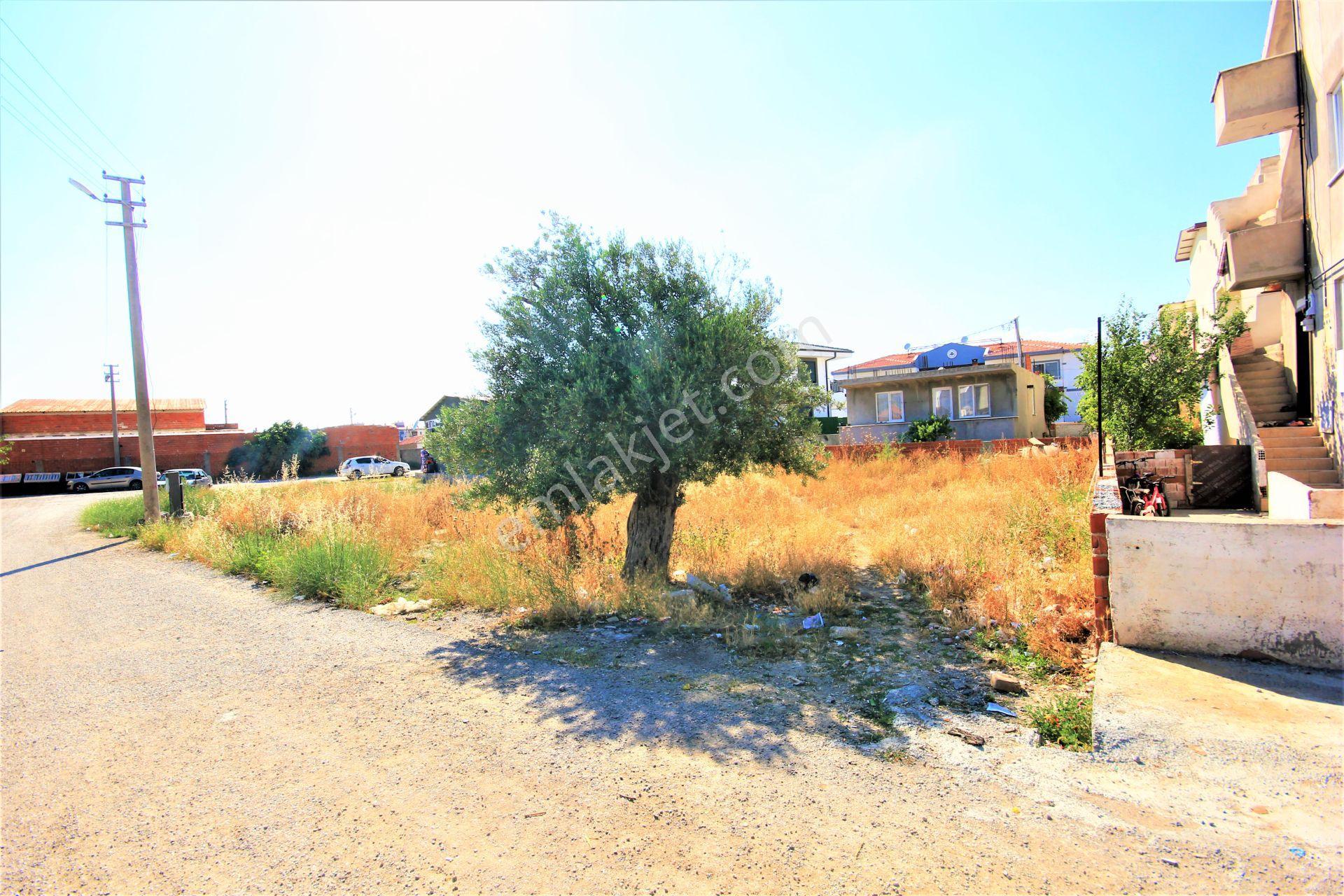Aktif'ten Burhaniye Hacıahmet Mahallesinde 374 M2 Satılık İmarlı Arsa - Görsel 5