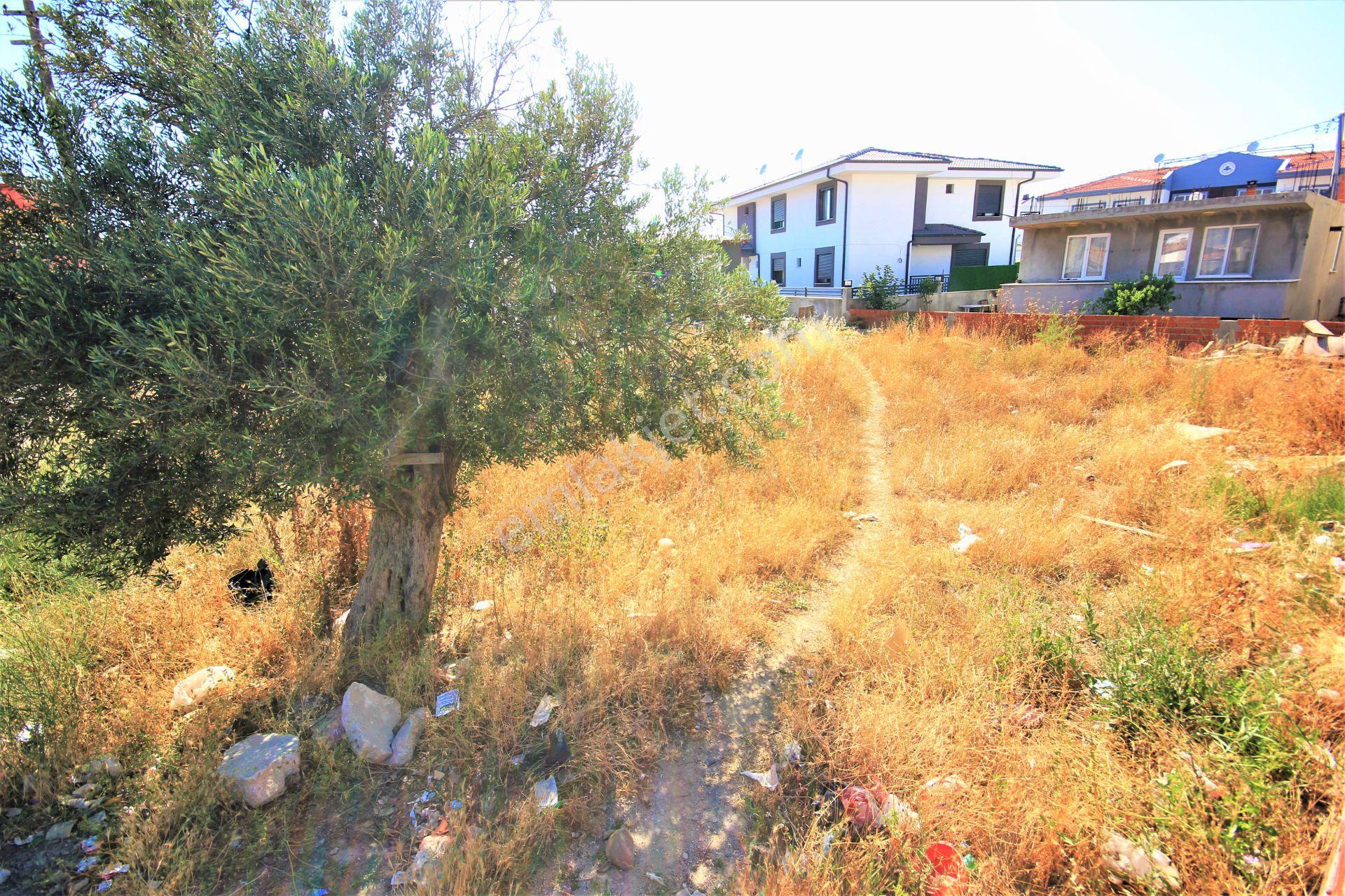 Aktif'ten Burhaniye Hacıahmet Mahallesinde 374 M2 Satılık İmarlı Arsa - Görsel 7