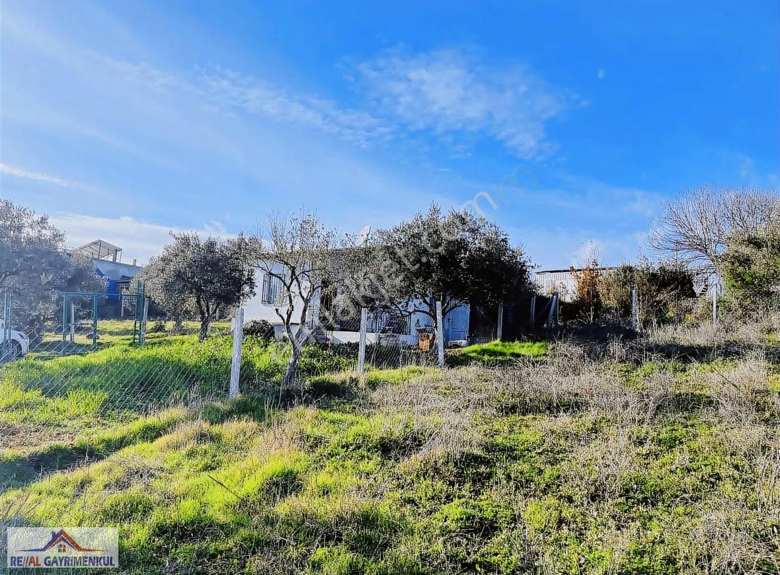 İzmir Menderes Oğlanarası Köyü 157 M² Hisseli Tarla - Görsel 3