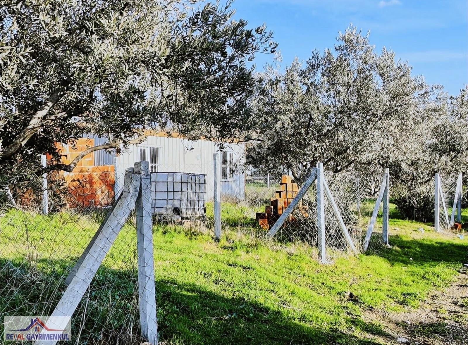 İzmir Menderes Oğlanarası Köyü 157 M² Hisseli Tarla - Görsel 2