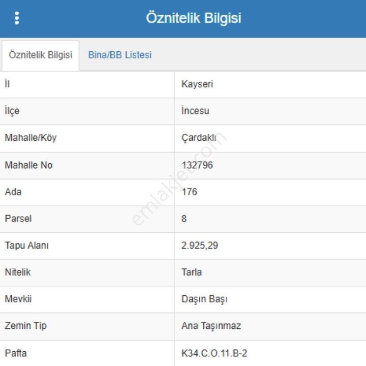 Kayseri İncesu'da 2.925 M² Satılık Tarla - Görsel 3