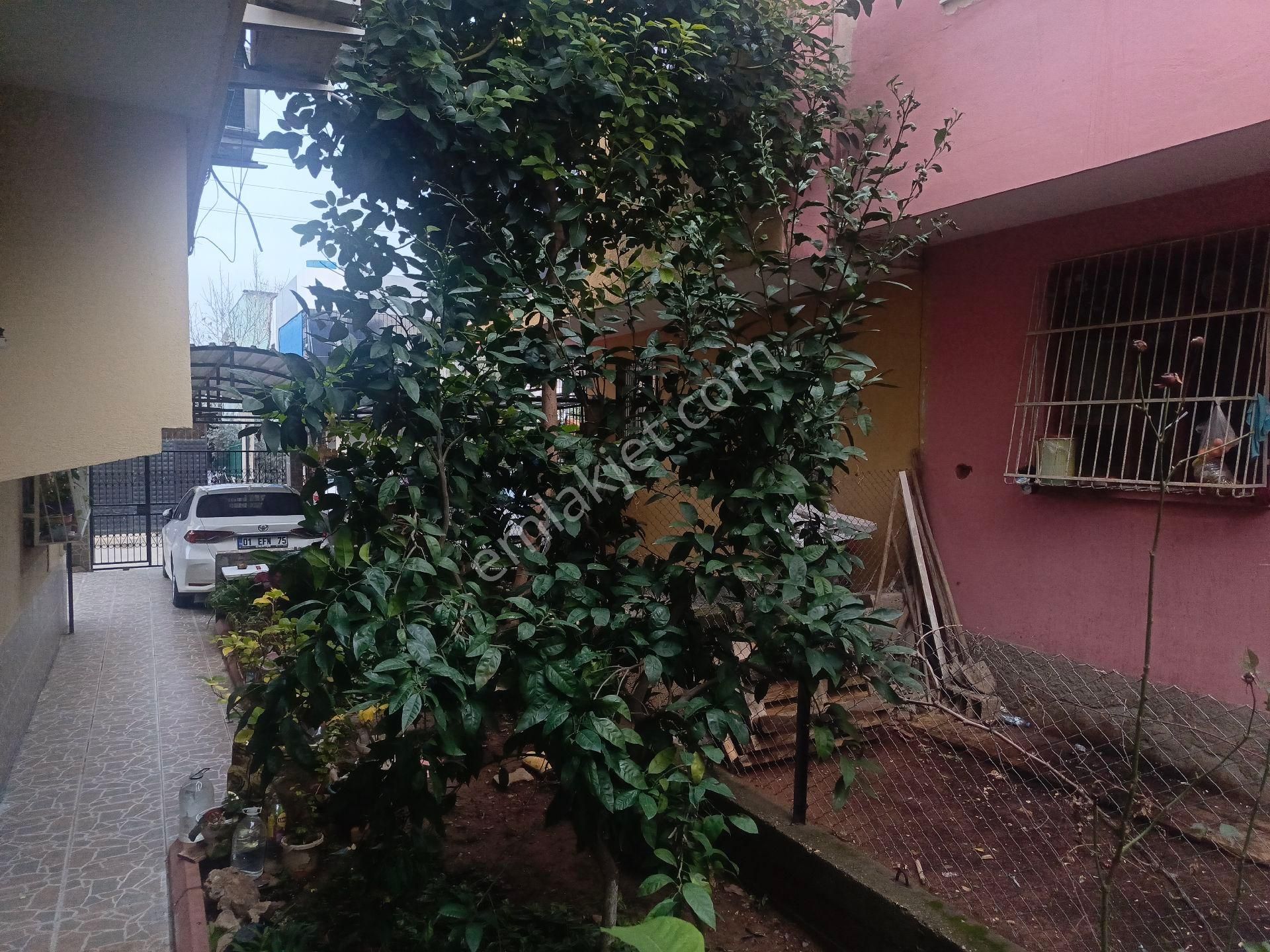 Bahvesehirde 3 Katlı Satılık Müstakil Bina - Görsel 3