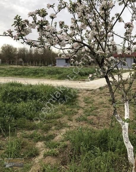 Bölgenin En Büyük Tek Tapu Villa İmarlı Arsası Satışta - Görsel 12