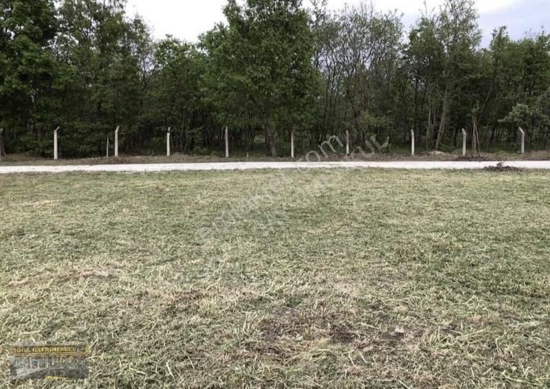Bölgenin En Büyük Tek Tapu Villa İmarlı Arsası Satışta - Görsel 6