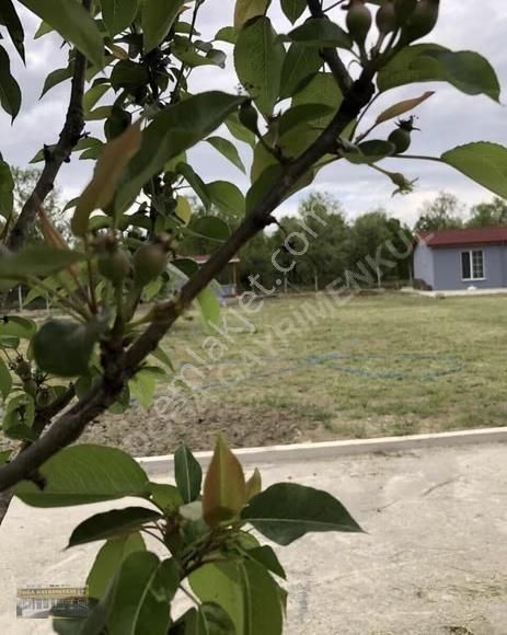 Bölgenin En Büyük Tek Tapu Villa İmarlı Arsası Satışta - Görsel 10