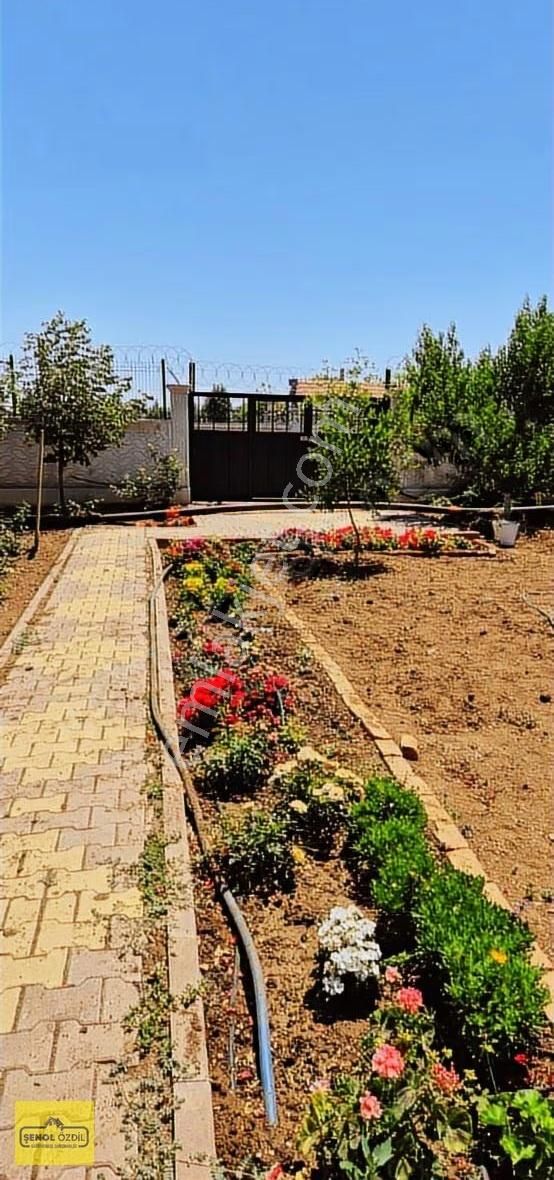 Şenol'dan Karahüyük'te Çok Güzel Bahçeli Ev - Görsel 4