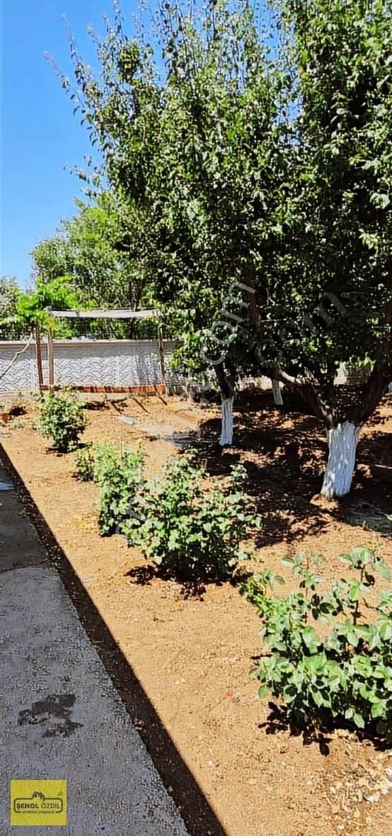 Şenol'dan Karahüyük'te Çok Güzel Bahçeli Ev - Görsel 9