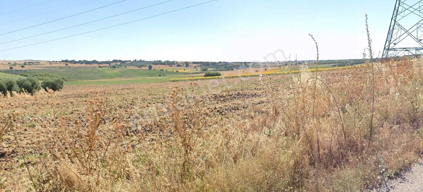 Karacabey Tophisar Mahallesinde 123 Dönüm Satılık Arazi - Görsel 3