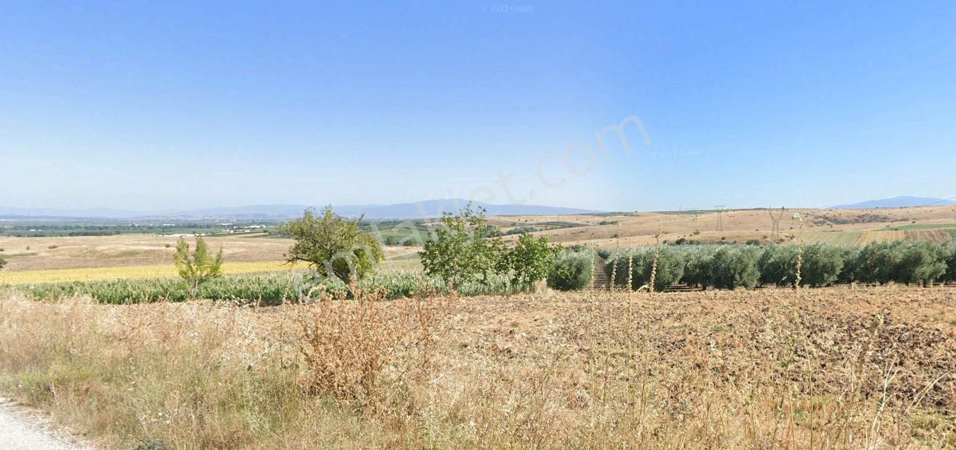 Karacabey Tophisar Mahallesinde 123 Dönüm Satılık Arazi