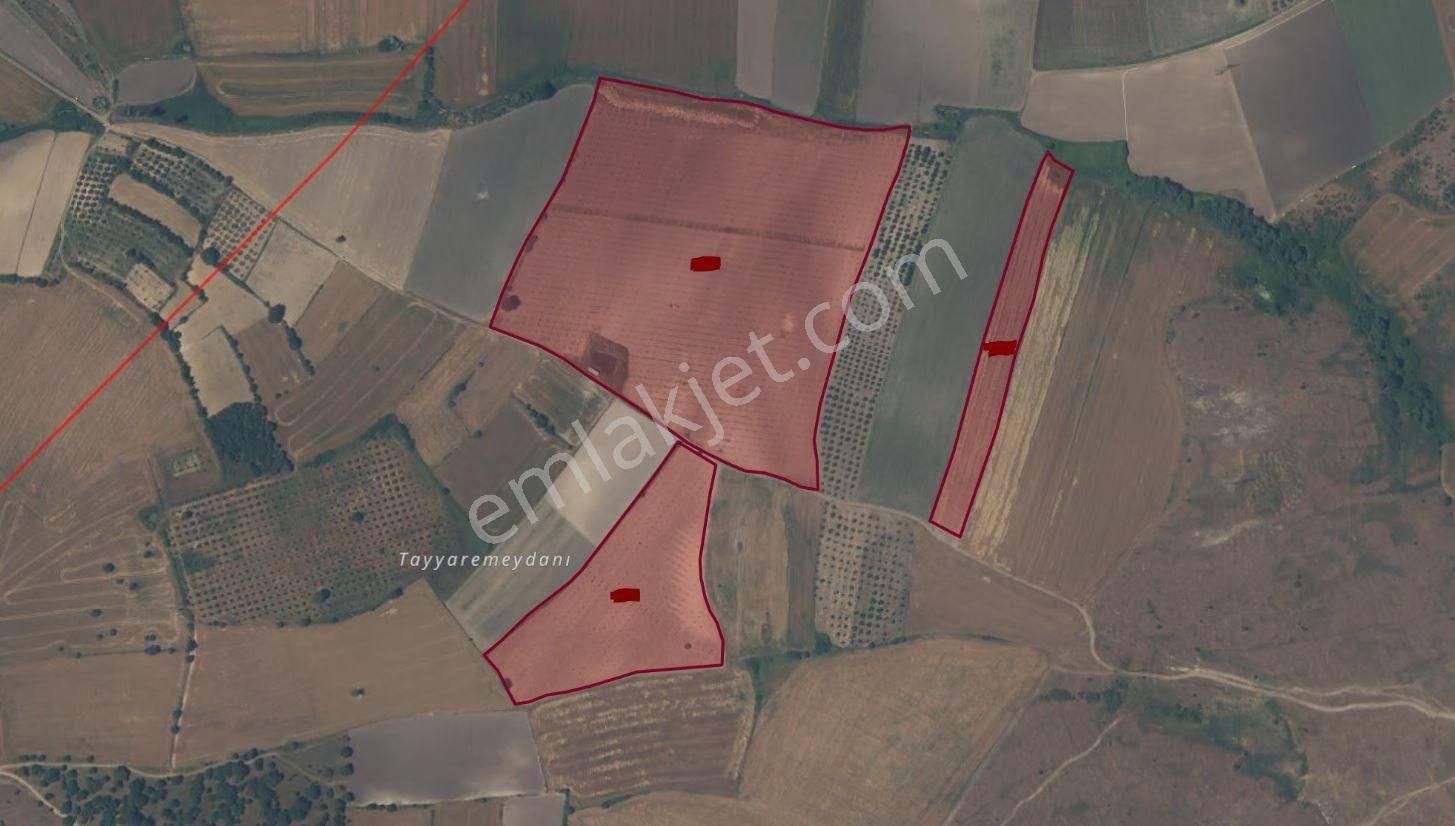 Karacabey Tophisar Mahallesinde 123 Dönüm Satılık Arazi - Görsel 5