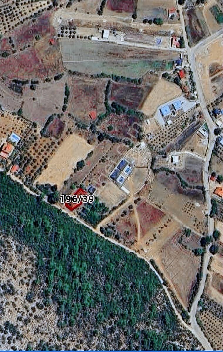 Fethiye İncirköy'de Nadir Fırsat! Yola Cepheli Satılık Arazi...