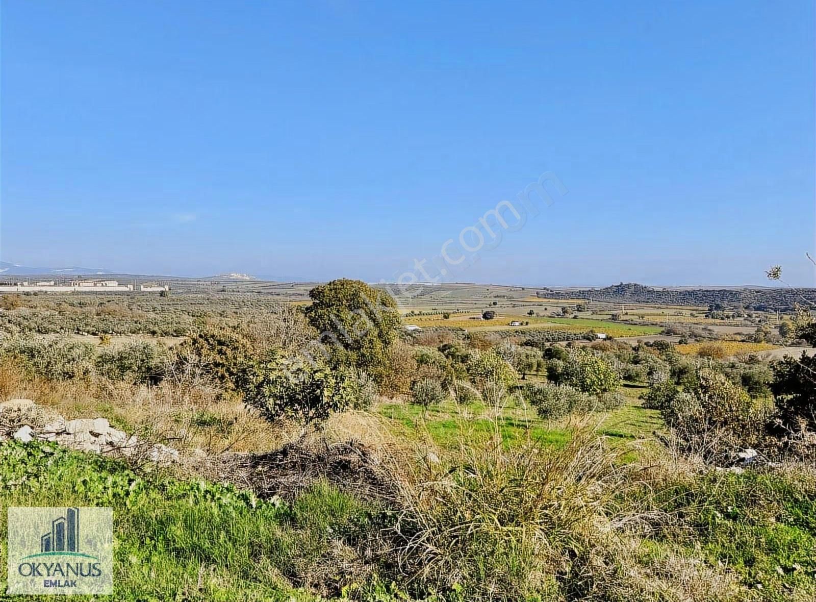 23.000 M2 Zeytinlik, Resmi Elektrik+ Sondaj+ Yeraltı Damlama Var - Görsel 20