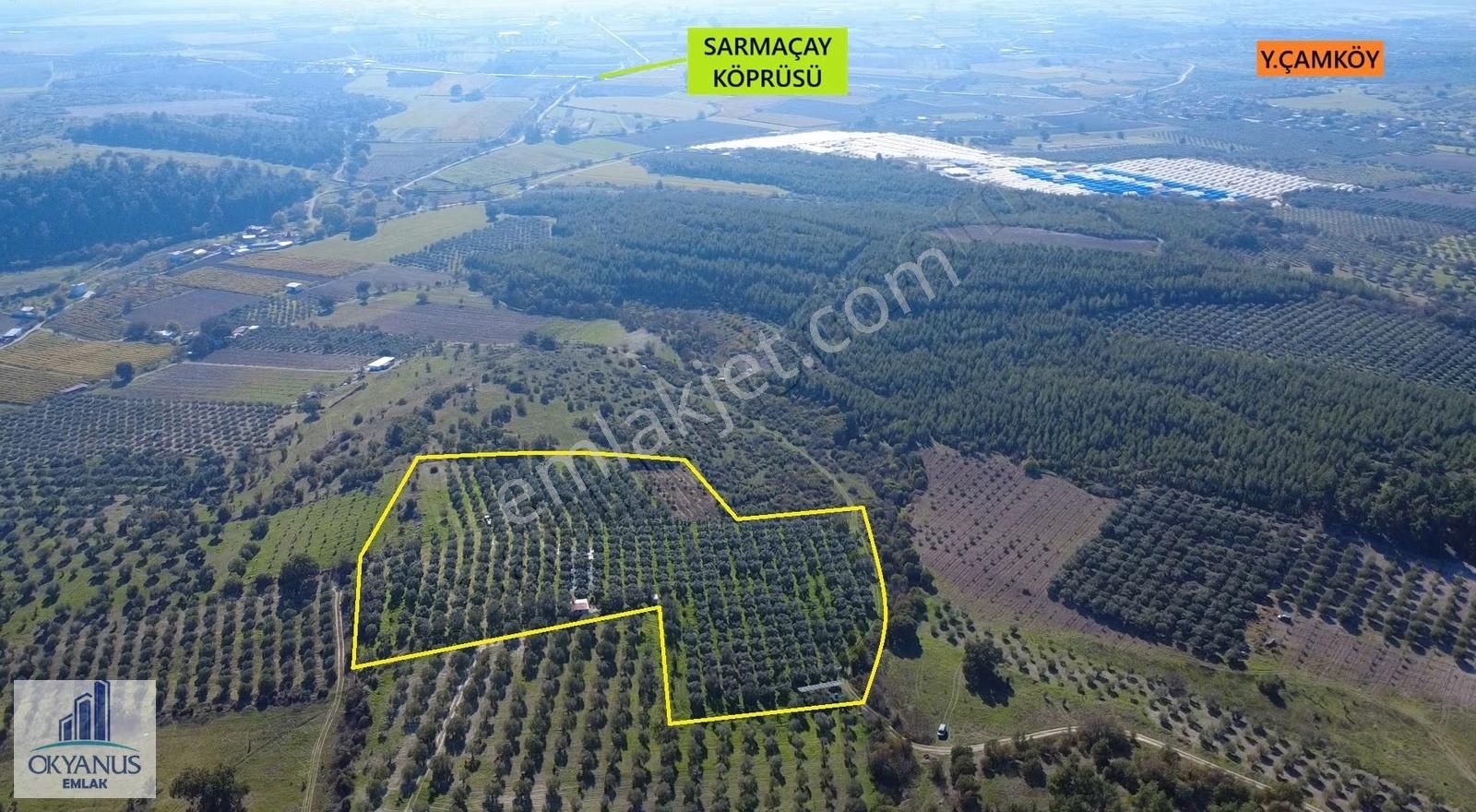 23.000 M2 Zeytinlik, Resmi Elektrik+ Sondaj+ Yeraltı Damlama Var - Görsel 31