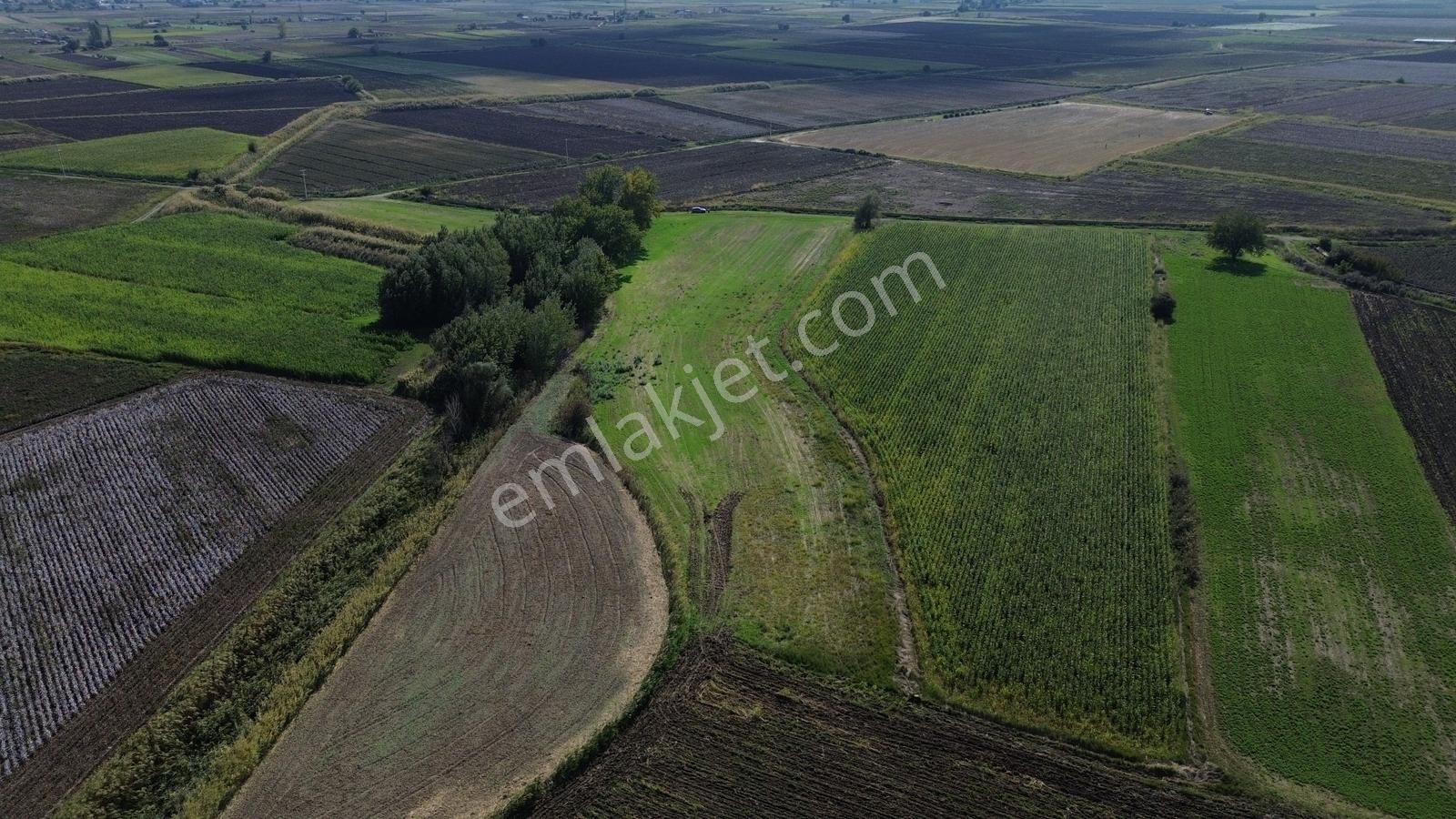 İzmir Bergama Ahmetbeylerde 10.548 M² Satılık Yatırımlık Tarla - Görsel 8