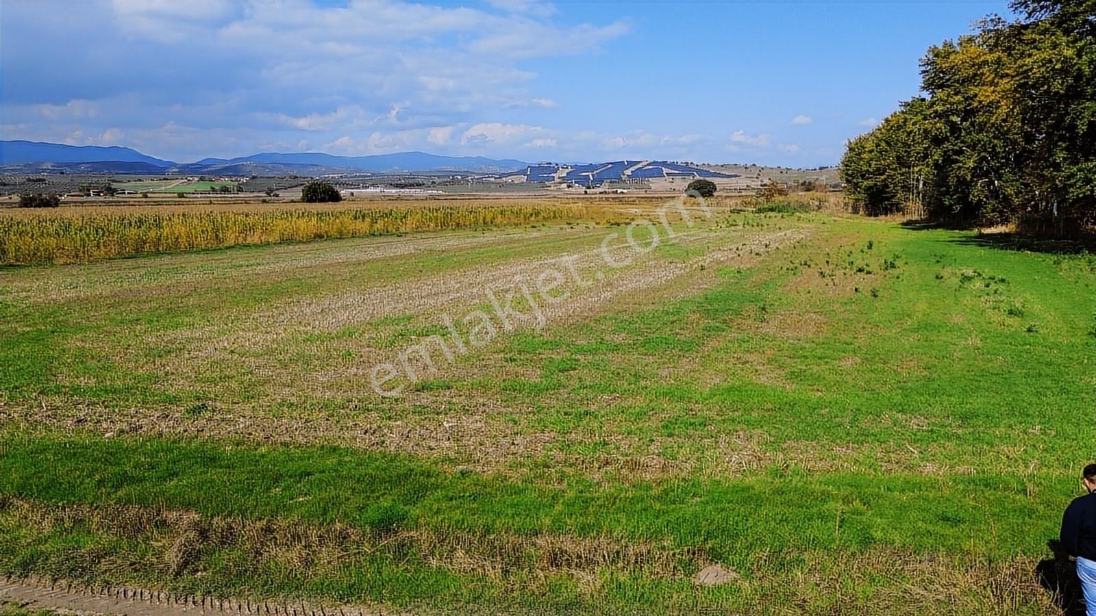 İzmir Bergama Ahmetbeylerde 10.548 M² Satılık Yatırımlık Tarla - Görsel 11