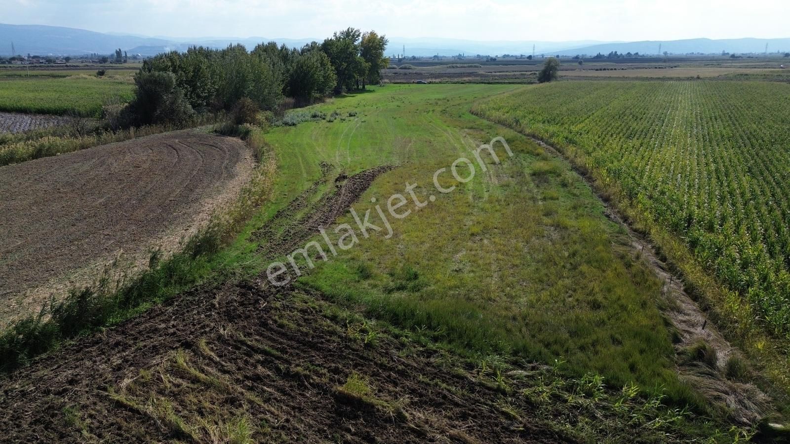 İzmir Bergama Ahmetbeylerde 10.548 M² Satılık Yatırımlık Tarla - Görsel 19