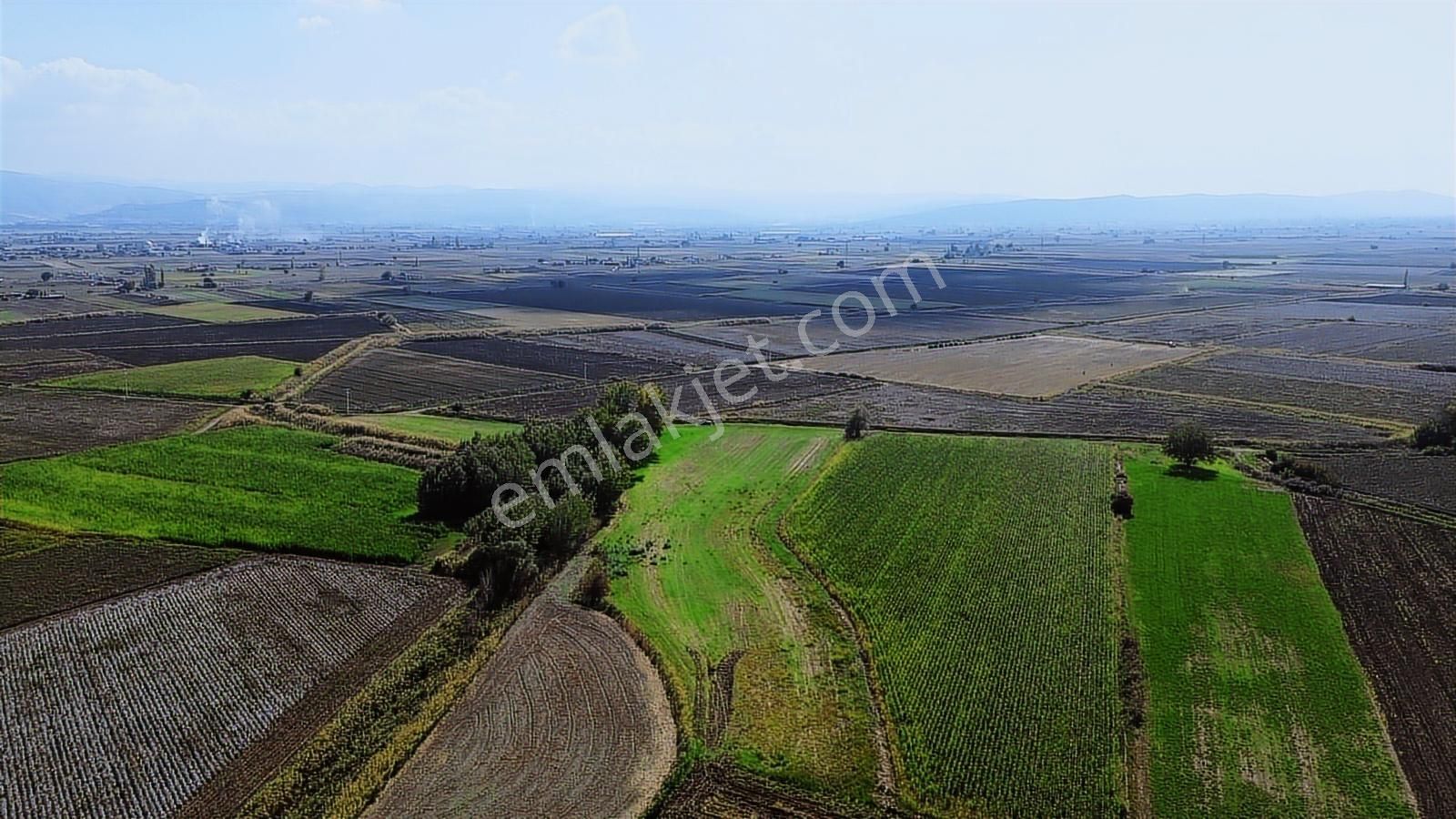 İzmir Bergama Ahmetbeylerde 10.548 M² Satılık Yatırımlık Tarla - Görsel 31